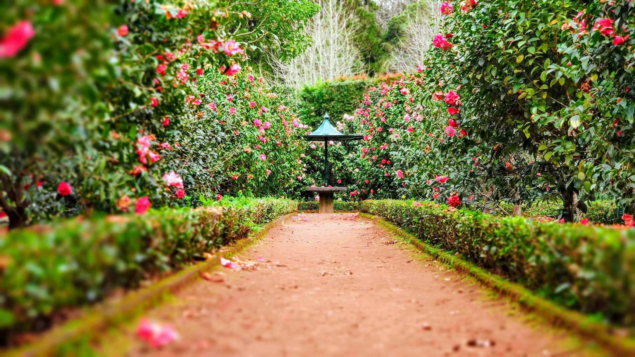 Gardening